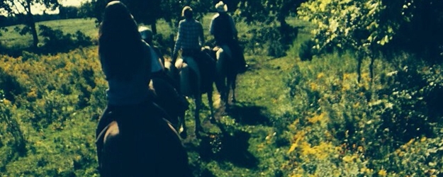 035InstagramJustinj